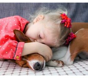 Death Of A Pet May Trigger Long Term Grief In Children