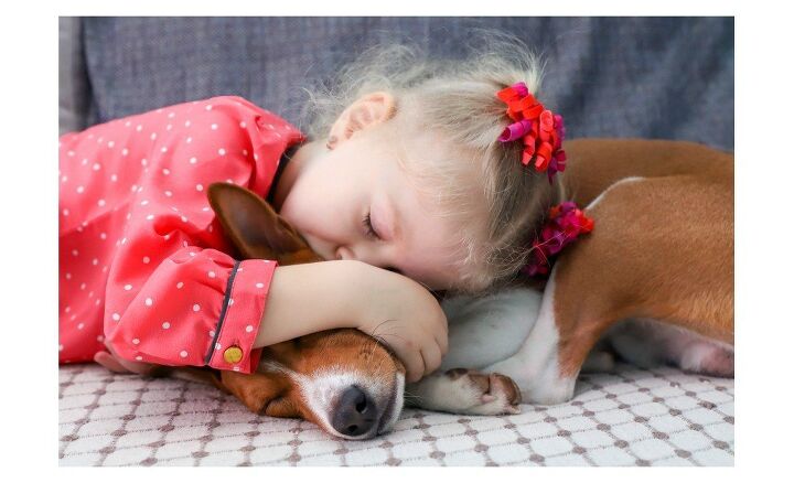 death of a pet may trigger long term grief in children