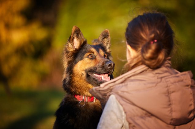 study shows dogs most likely our oldest companions