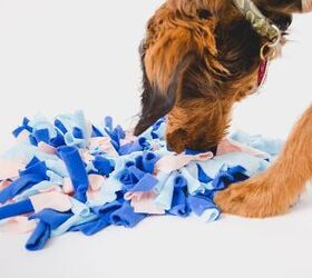 Blue Cross Shows you how to make a Snuffle-mat for Pets in this