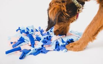 How Snuffle Mats Can Function as Slow Feeders