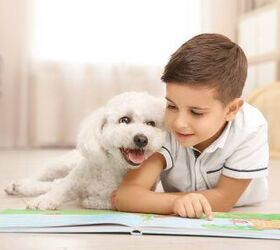 How Therapy Dogs Can Help Kids With Speech Difficulties