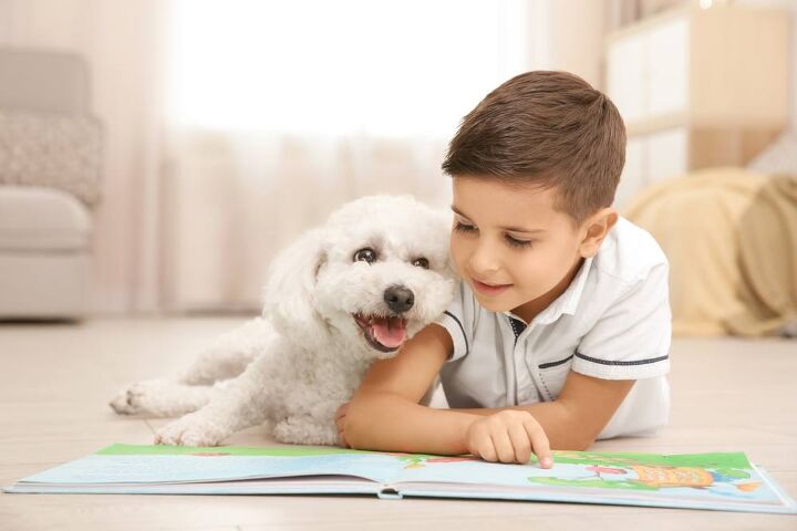 how therapy dogs can help kids with speech difficulties