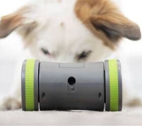 Try To Catch The PetSafe Kibble Chase Roaming Treat Dispenser