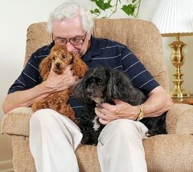 Top 10 Best Dogs for Seniors