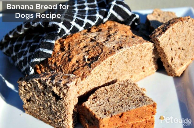 Banana Bread For Dogs With Pet-Safe Sage photo