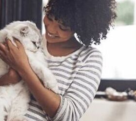 trustedhousesitters in home pet sitting you can count on