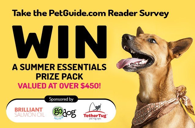 take the 2021 petguide com reader survey for a chance to win a pawsome prize pack