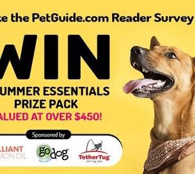 Take The 2021 PetGuide.Com Reader Survey For a Chance to Win a Pawsome