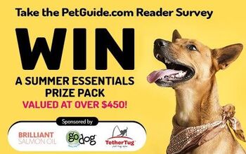Take The 2021 PetGuide.Com Reader Survey For a Chance to Win a Pawsome