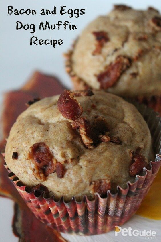 bacon and eggs dog muffin recipe
