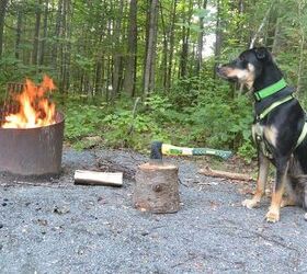 pups with tents hot dogs and campfire safety