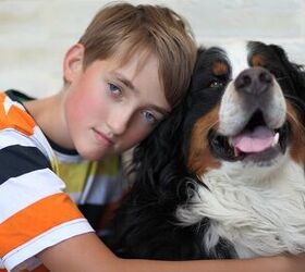 Lost Dog Advice: How To Help Kids Cope When Your Dog Goes Missing
