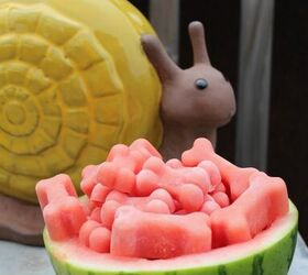 frosty watermelon dog treat recipe