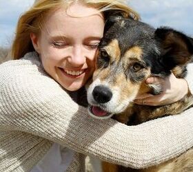 top 10 affectionate dog breeds
