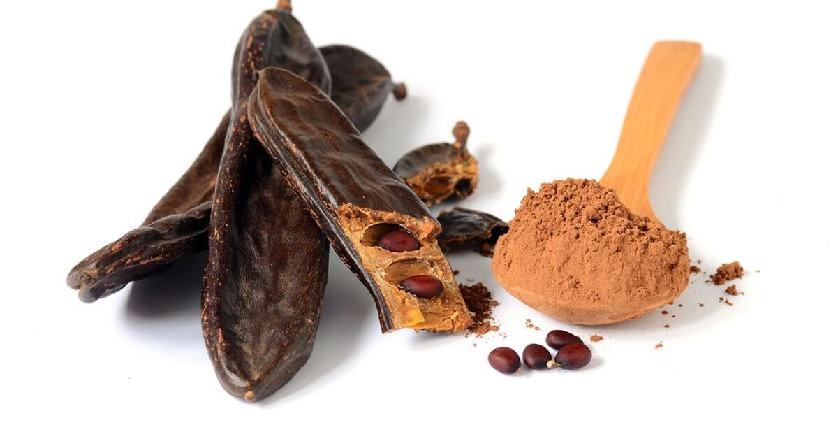 Is Carob Ok for Dogs 