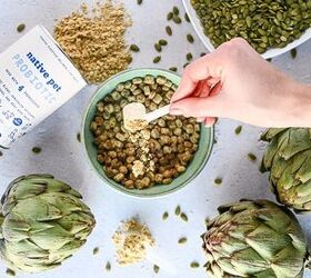 native pet probiotic for dogs