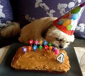 Party-Down Dog Birthday Cake Recipe