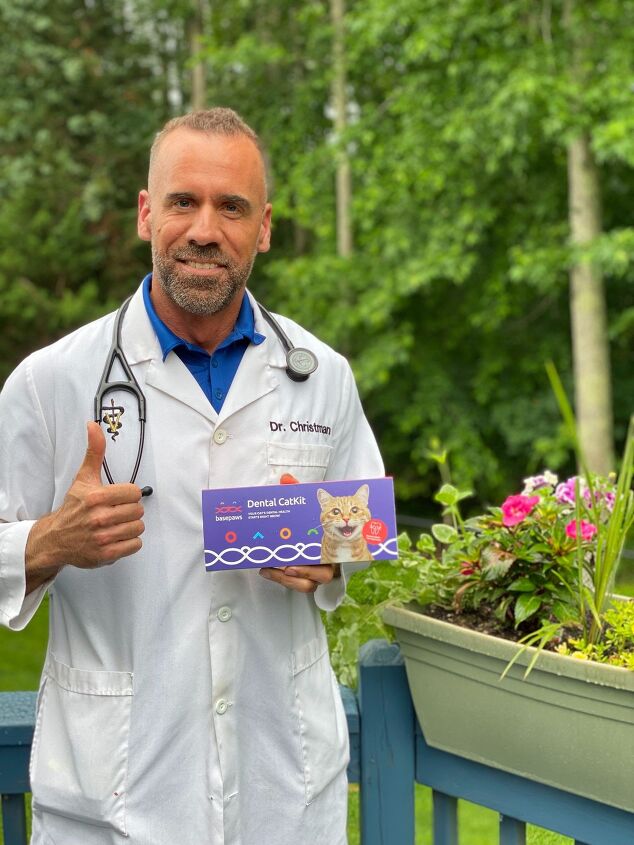 basepaws breed health dna test for cats what every cat parent needs