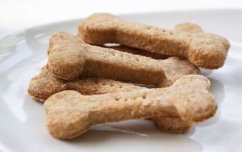 Easy-Peasy Peanut Butter Dog Treats Recipe