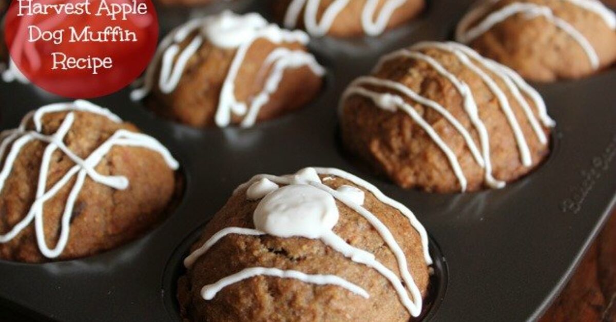 Harvest Apple Dog Muffin Recipe | PetGuide