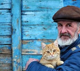 are cats therapeutic for seniors