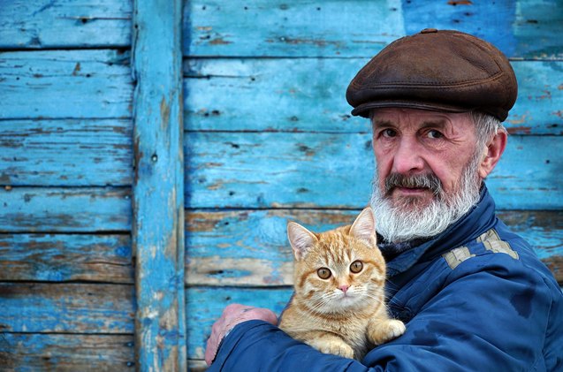 are cats therapeutic for seniors