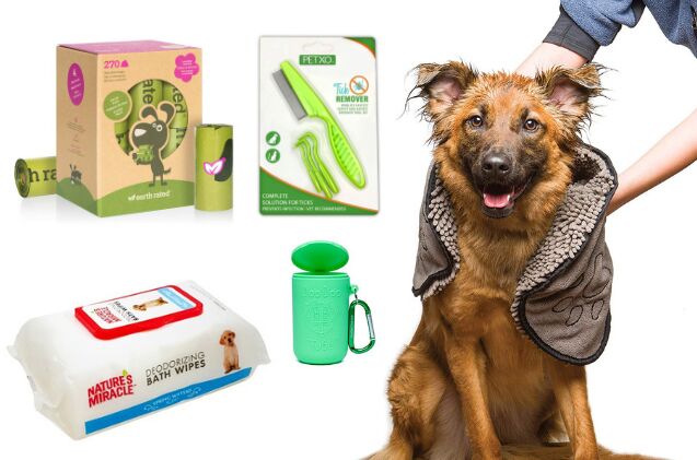 dog travel essentials what to pack for your dog