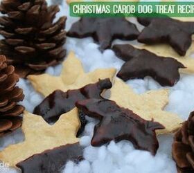 Christmas Carob Dog Treat Recipe