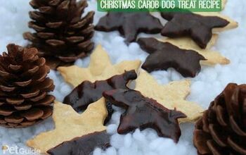 Christmas Carob Dog Treat Recipe