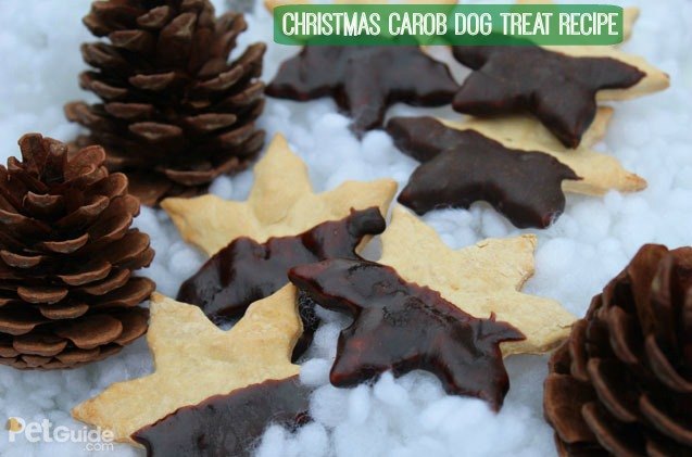 christmas carob dog treat recipe