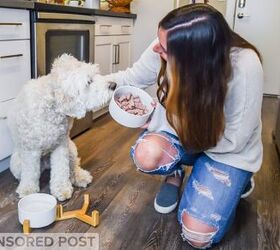 DoorDash for Your Dog is Real and It’s Amazing PetGuide