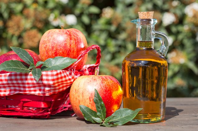 the amazing benefits of apple cider vinegar for dogs