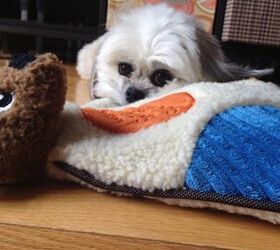Scents Of Security Comfort Toy Is A Security Blanket For Your Dog
