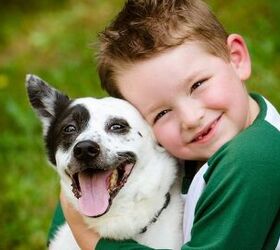 How Young Children Can Help Care for Your Dog