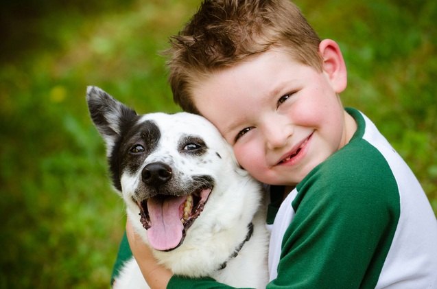 how young children can help care for your dog