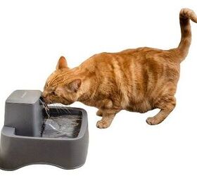 PetSafe Sponsors National Pet Hydration Awareness Month With Drinkwell PetGuide