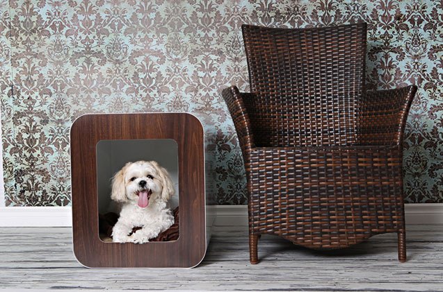 kooldog indoor dog house perfect for condo living