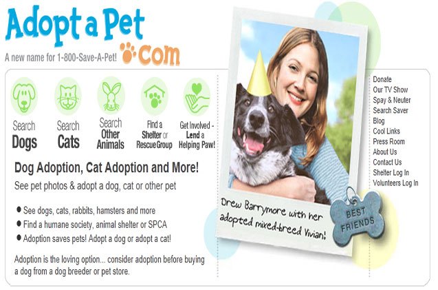 interested in pets for adoption adoptapet has thousands looking for a forever home