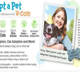 interested in pets for adoption adoptapet has thousands looking for a