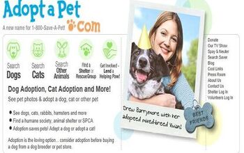 Interested in Pets for Adoption? Adoptapet Has Thousands Looking for A