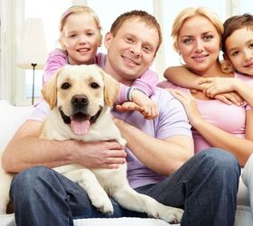 Dog Insurance Pros and Cons