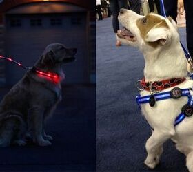 Spots Light LED Dog Collar and Leash Light Up The Night