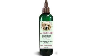 Probiotics Make This Dog Ear Infection Cure All Natural