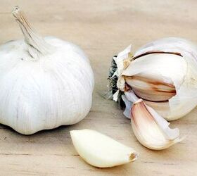 The Shocking Truth About Dogs and Garlic