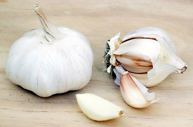 The Shocking Truth About Dogs and Garlic