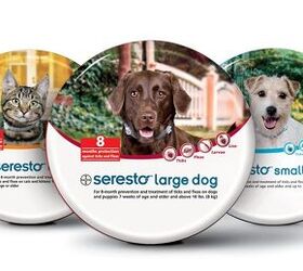 Seresto Collar Offers Tick and Flea Control For 8 Months