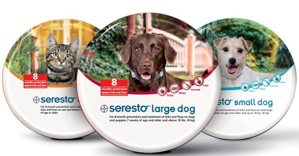 Seresto Collar Offers Tick and Flea Control For 8 Months PetGuide