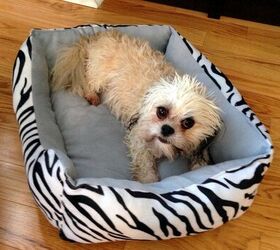 Lambert Kay Fresh ‘n Clean Protein Infused Dog Shampoo and Cologne