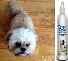 Lambert kay clearance dog shampoo